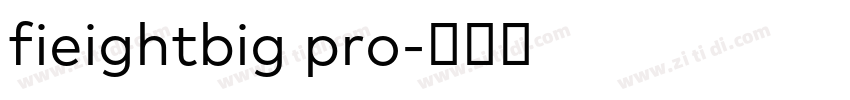 fieightbig pro字体转换